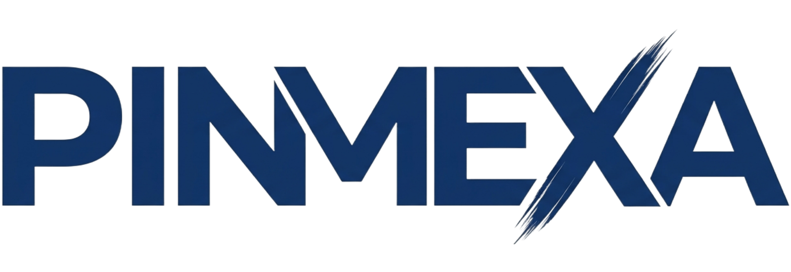 logo pinmexa